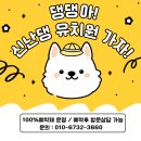 신난댕 애견유치원 이미지