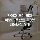 카이저 조야 의자 써보니 푹신함 무엇? 내돈내산 후기