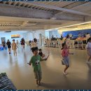 점핑체형교정 이미지