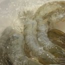 왕새우직판장주안점 이미지