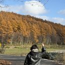 차차차휴게소 | 갑자기 Let It Go?? 혼자서 잘하는 11월 삿포로 여행로그 3