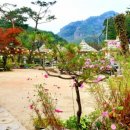 우둠지아트빌리지 이미지