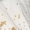 키친달팽이 | 명주달팽이 키우기 수명 달팽이 알 부화 번식 후기