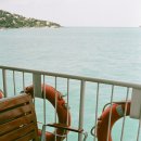 프린시스 이미지