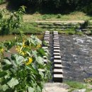 봉방천변길 이미지