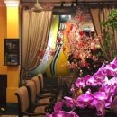 원스파인 이미지