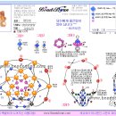 고슴도치 도안 이미지