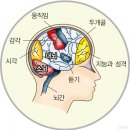 윤선생IGSE에코학원