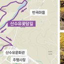 솔그린 이미지