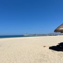 남애서핑클럽 | 양양서핑 남애서프클럽 서핑 체험후기