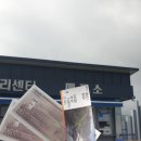 풍경힐링 | 철원 주상절리길 트레킹 후기 한탄강 절벽 풍경 따라 걷는 힐링 코스