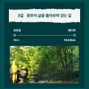 8/10[일] 25' 운탄고도 1330 챌린지 Opro-3길(모운동~예미역~엽기소나무길 초입)-산행안내/좌석표 이미지