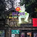 2025년 12월 | 중국 5일 (1) 청두 | 꼭 가봐야 하는 거리 관자이 샹즈 (宽窄巷子 Kuan Zhai Xiang Zi)