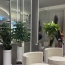 강남피부과의원 | 강남역피부과 셀리데이의원 온다리프팅 솔직후기