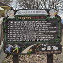 소나무 흑염소 목장 이미지