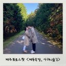 신성 은산골 축산농장(2) | 제주포토스팟, 추천여행지 <제동목장입구, 사려니숲길>