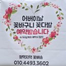 평택 꽃집ㅣ데일리플라워 방문 후기 내돈내산