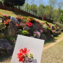 나무요양병원 이미지