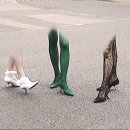 온더비치 이미지