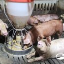 안성약품(주) 이미지