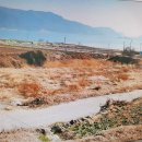 보물섬펜션 이미지