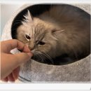 아이조아요양보호소 전남광주점 이미지