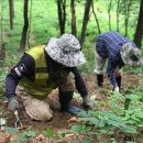 강원농장 이미지