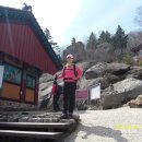 지리산(대구) 이미지