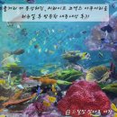 VR임팩트 | 씨라이프 코엑스 아쿠아리움 리뉴얼 후 방문 후기 아이랑 실내 갈만한 곳