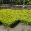 미호농장 이미지