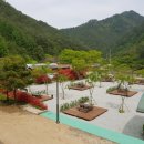 솔향가득 봉화캠핑장 이미지