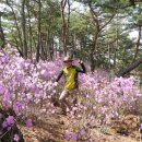 괴산산막이옛길 진달래&송면 선유동(4.11토)... 이미지