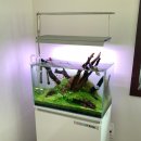 우리공간카페 | [대천] 주택을 개조한 분위기 좋은 신상 카페 '우리카페' 내돈내산 후기