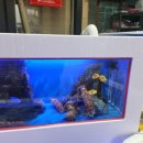 금성수산 이미지