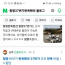 37번가 한옥 | 전남 함평 주포한옥마을 37번가한옥펜션 다녀간 손님 후기