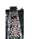 김정서 Daum카페