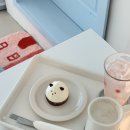 초코네 애견샵 네이버블로그