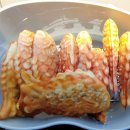 목포장애인요양원 이미지