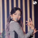 댕댕스 네이버블로그