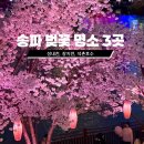 (주)파이브피크인터내셔널 | 송파구 벚꽃 명소 BEST 3 🌸 석촌호수 장지천 성내천 (2026 개화상황)