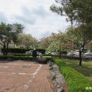 화원유원지 이미지