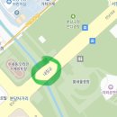 분당구청.중앙공원후문 | 성남 벚꽃 명소_분당중앙공원/분당구청(4.6기준/추천명소 with반려견 루이)