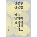 창비