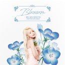 솔라 이미지