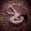 중원중앙-D-8 이미지