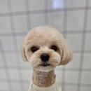 반자주 진해점 이미지