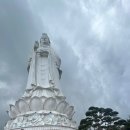목금토 | [🇻🇳베트남]Day4 모두투어 목금토일월 영흥사 내돈내산 베트남 여행 후기