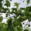 김상기농장 이미지