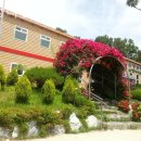 소망자동차 | 마도면요양원 소망너싱홈 솔직후기