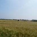 제주 올레길 10-1코스 이미지